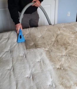 Upholstery Cleaning Middlefield CT